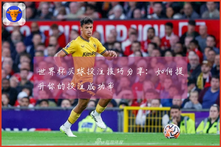 世界杯买球投注技巧分享：如何提升你的投注成功率