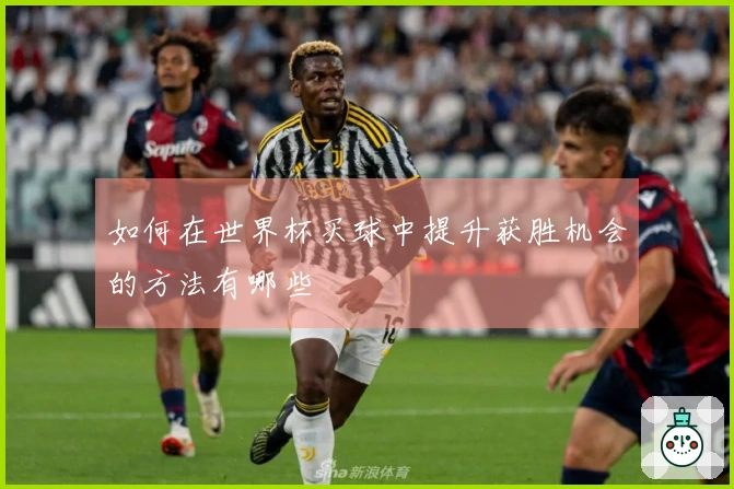 如何在世界杯买球中提升获胜机会的方法有哪些