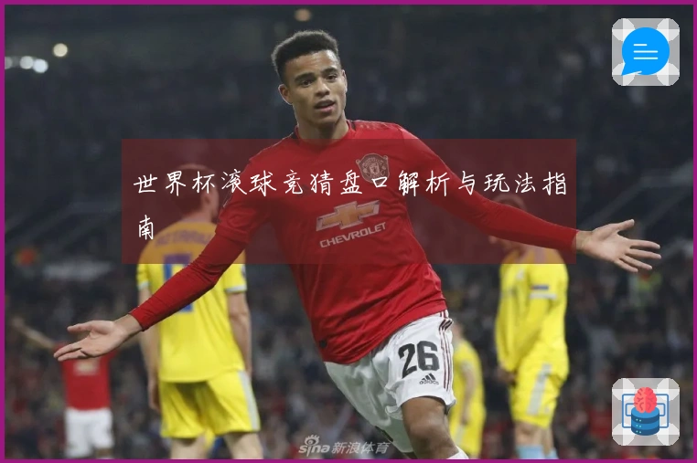 世界杯滚球竞猜盘口解析与玩法指南