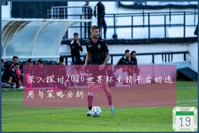 深入探讨2026世界杯竞猜平台的选用与策略分析