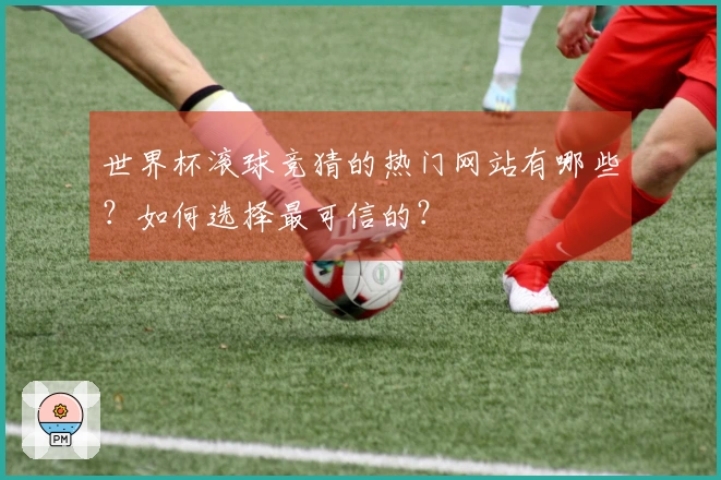 世界杯滚球竞猜的热门网站有哪些？如何选择最可信的？