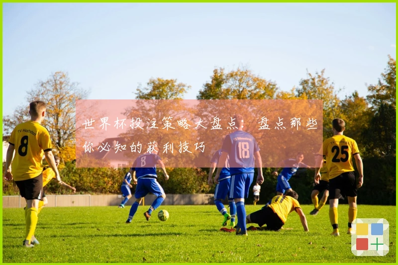 世界杯投注策略大盘点：盘点那些你必知的获利技巧