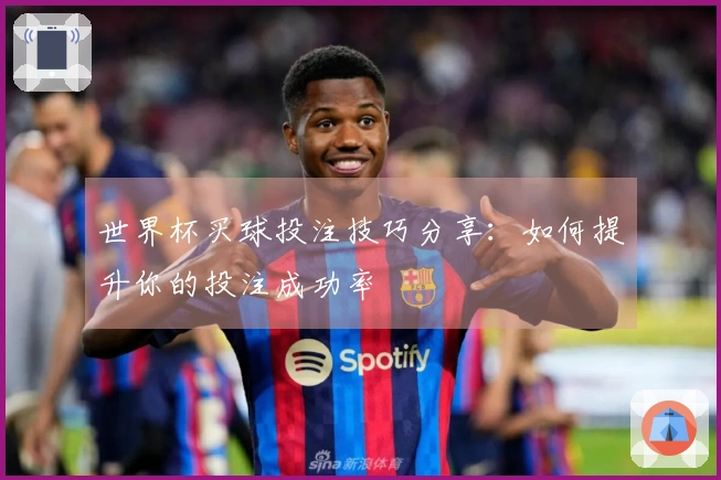世界杯买球投注技巧分享：如何提升你的投注成功率