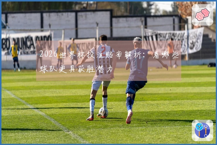 2026世界杯投注赔率解析：看哪些球队更具获胜潜力